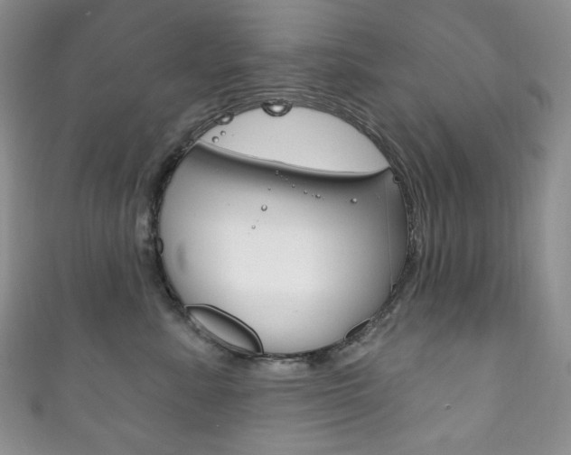 X0000111160619200906301059