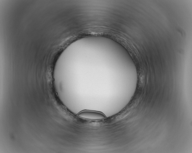 X0000111160620200906301059