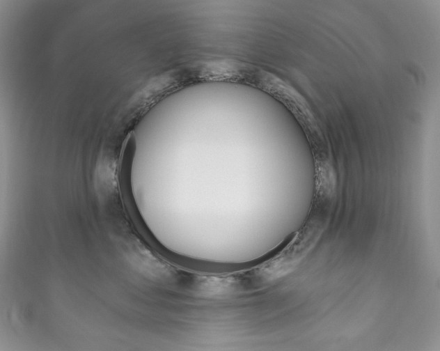 X0000111160621200906301059