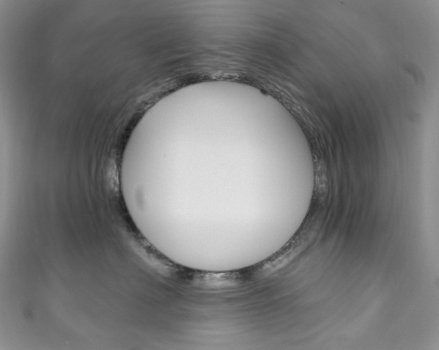 X0000111160622200906301059