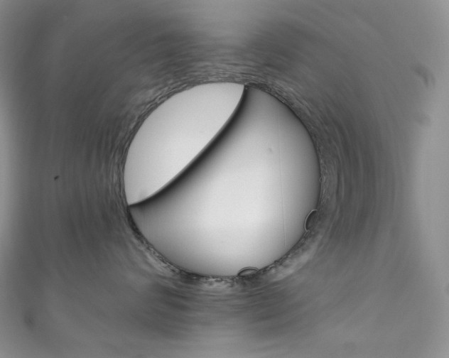 X0000111160624200906301059