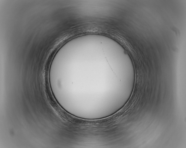 X0000111160626200906301058