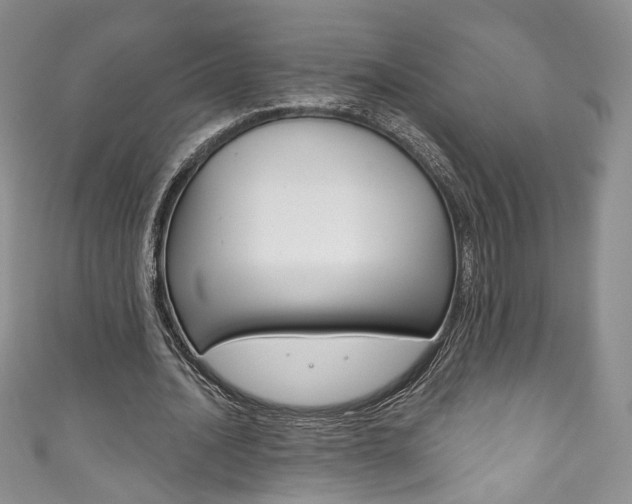 X0000111160628200906301058