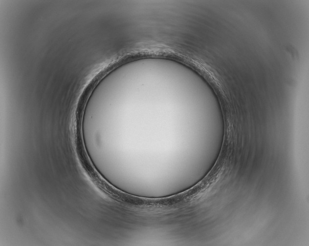 X0000111160630200906301058
