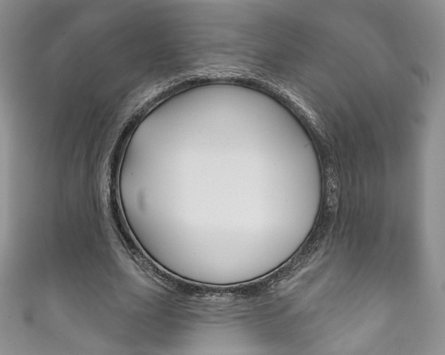 X0000111160631200906301058