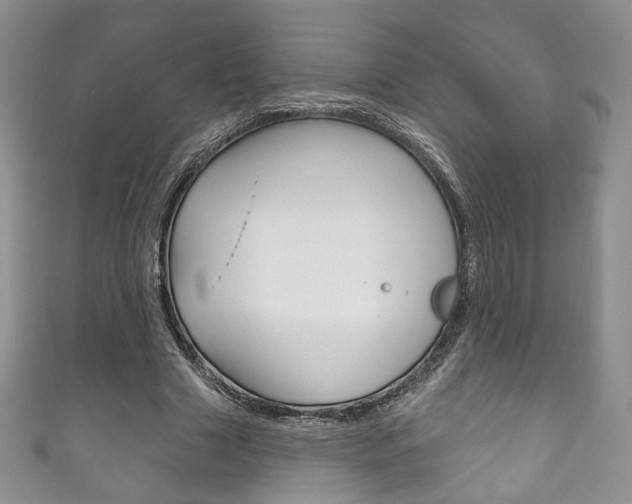 X0000111160633200906301059