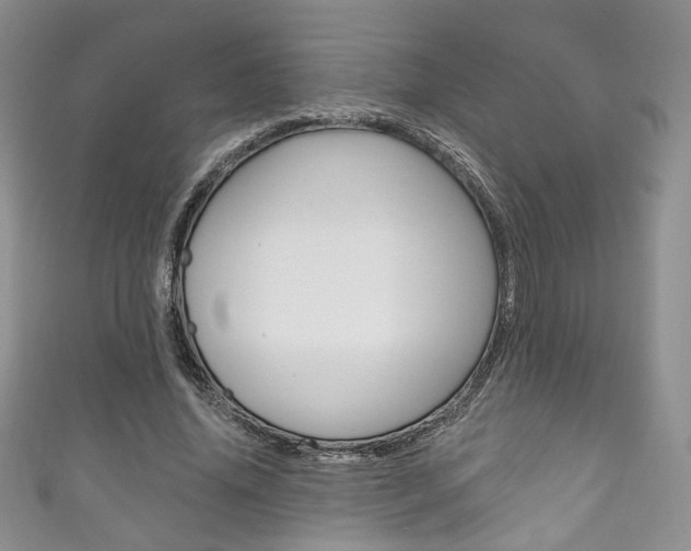 X0000111160636200906301059