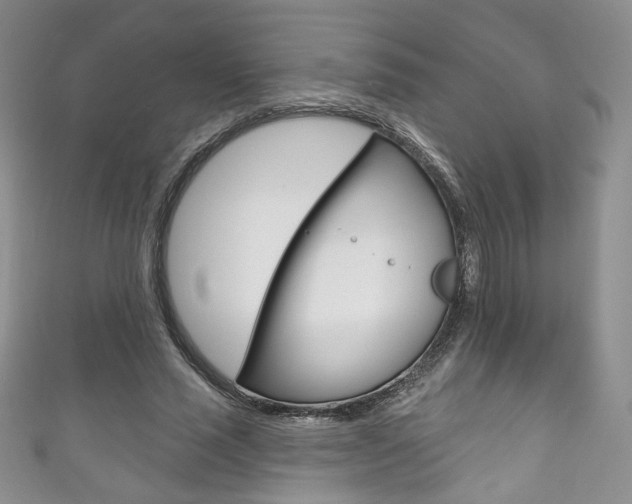 X0000111160637200906301059