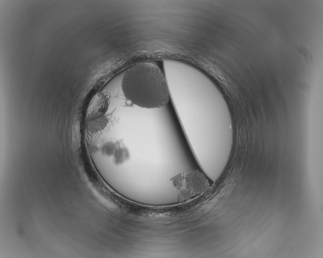 X0000111160638200906301059