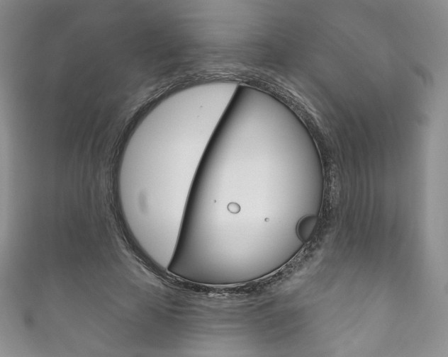 X0000111160641200906301059