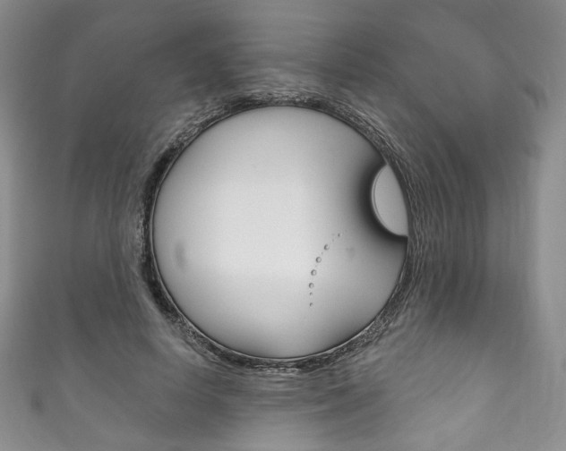 X0000111160642200906301059