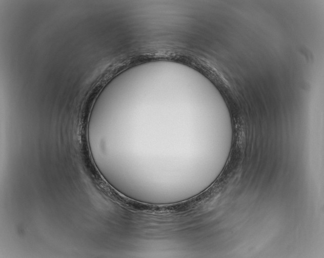 X0000111160643200906301059