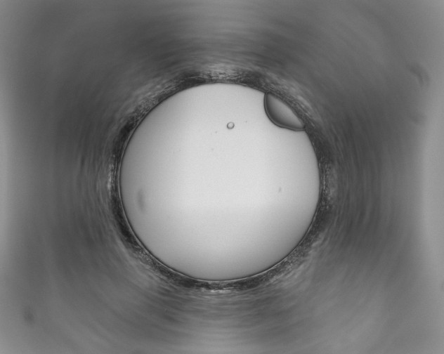 X0000111160645200906301059