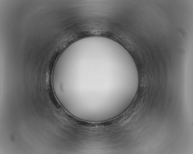 X0000111160646200906301059