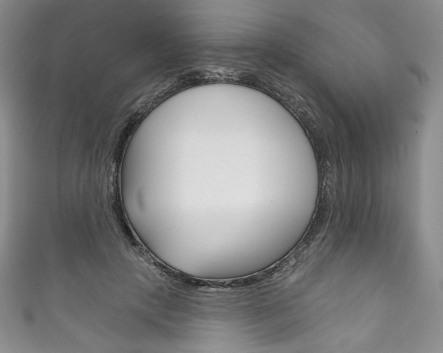 X0000111160649200906301059