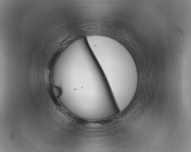 X0000111160650200906301059