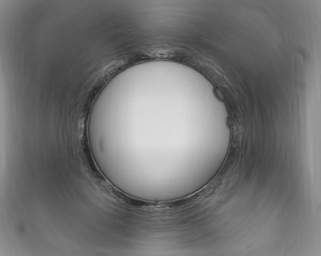 X0000111160652200906301059
