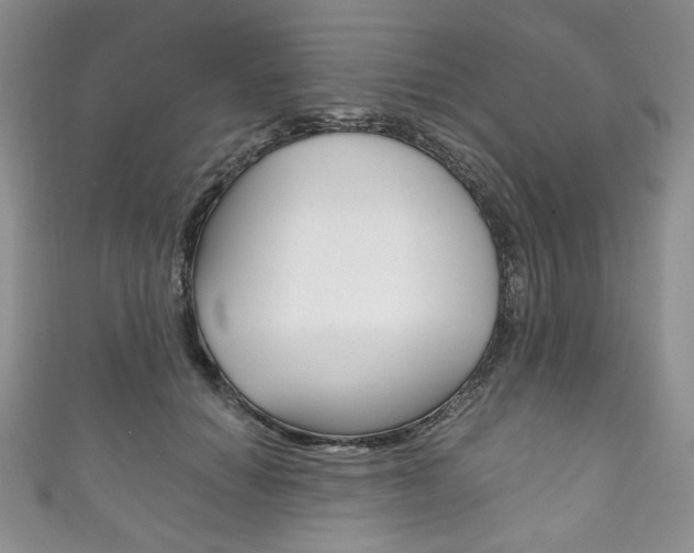 X0000111160654200906301059
