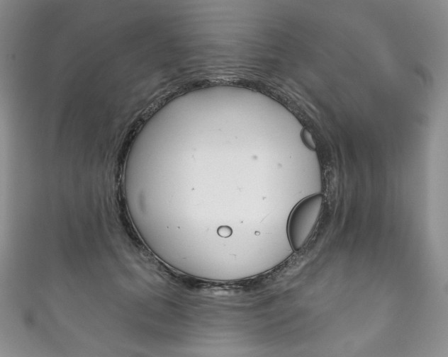 X0000111160655200906301059