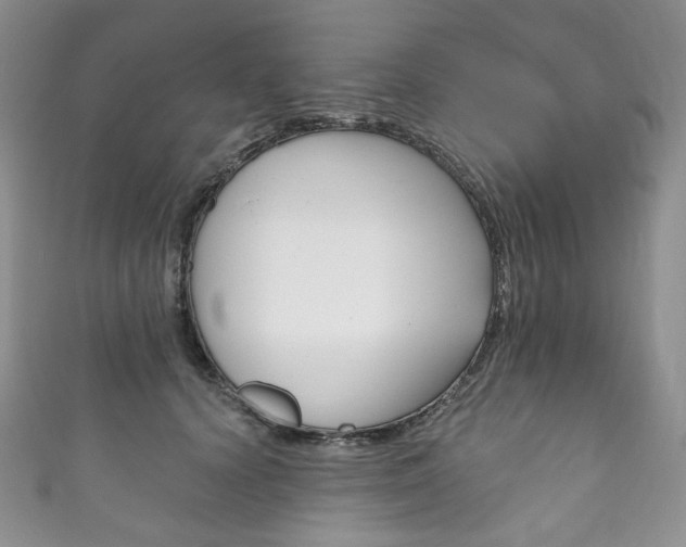 X0000111160656200906301059