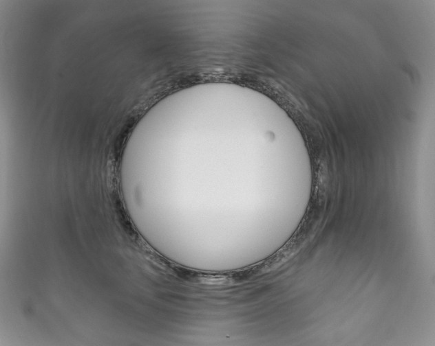 X0000111160659200906301059