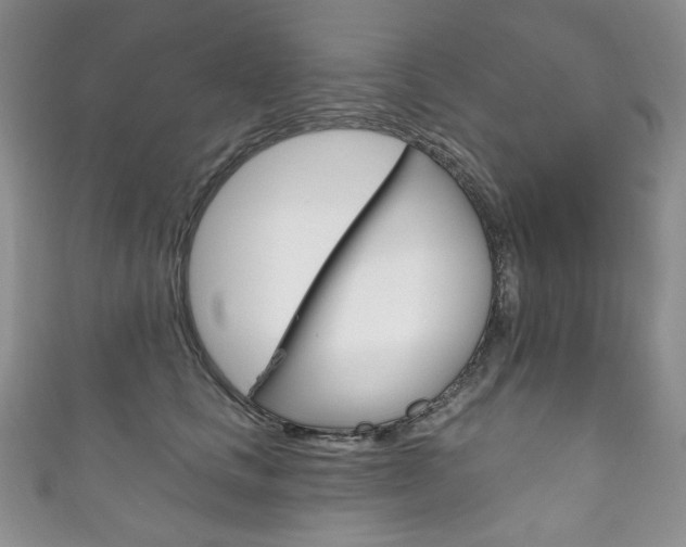 X0000111160661200906301059