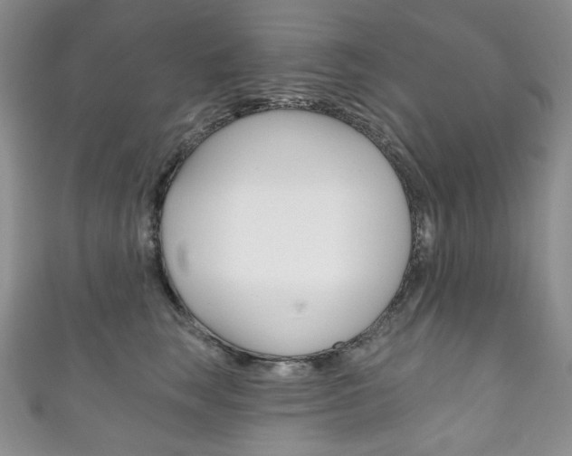 X0000111160663200906301059