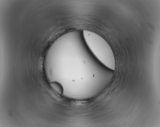 X0000111160664200906301059
