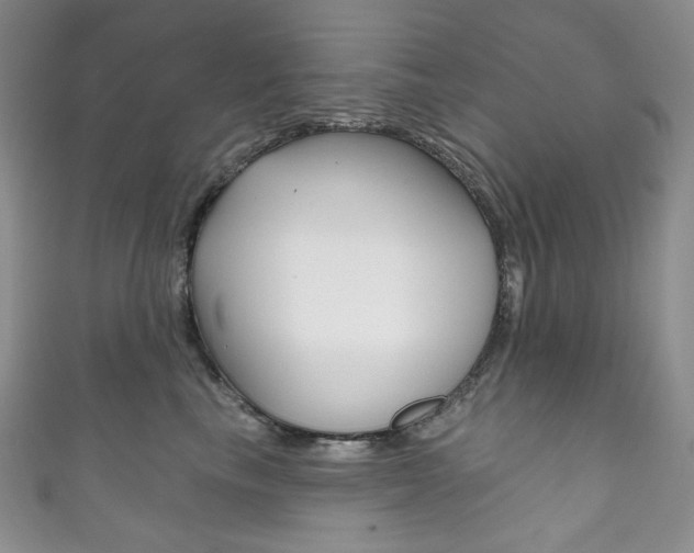 X0000111160665200906301059