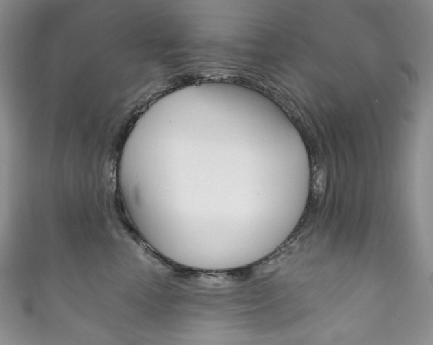 X0000111160666200906301059