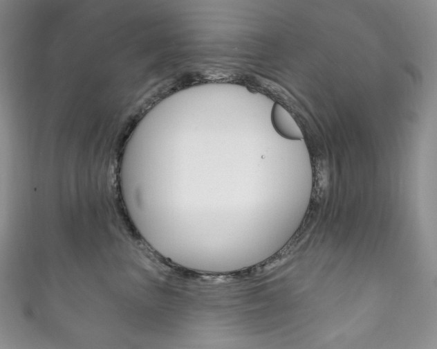 X0000111160667200906301059