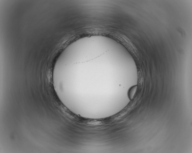 X0000111160669200906301059