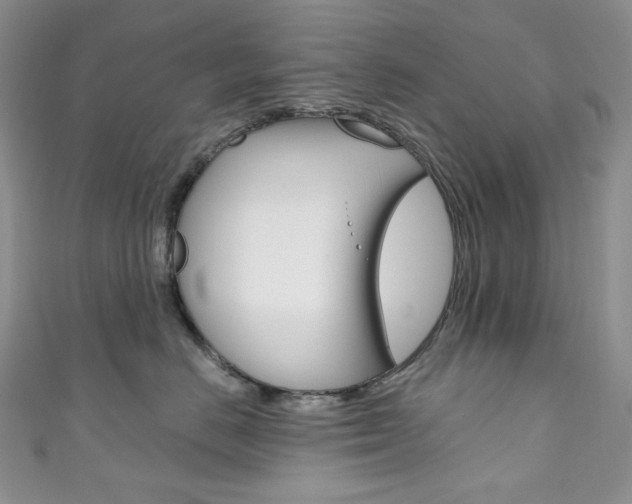 X0000111160670200906301059