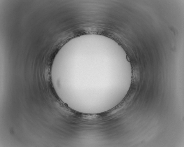X0000111160671200906301059