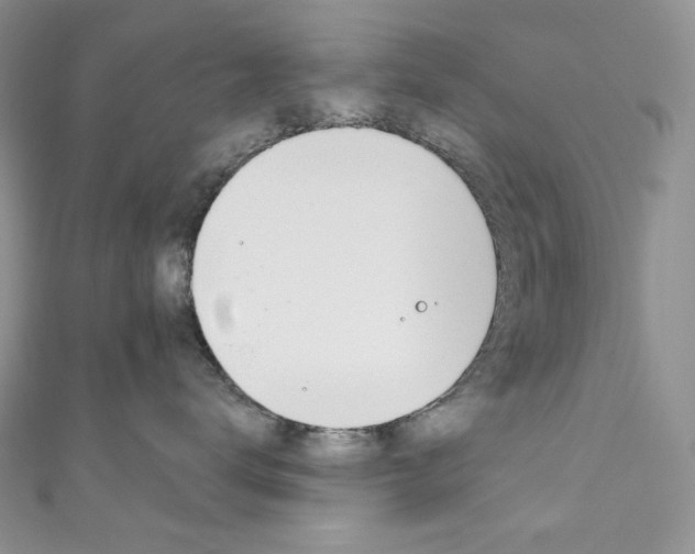 X0000111160672200906301059