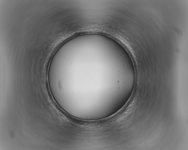 X0000111160673200906301058