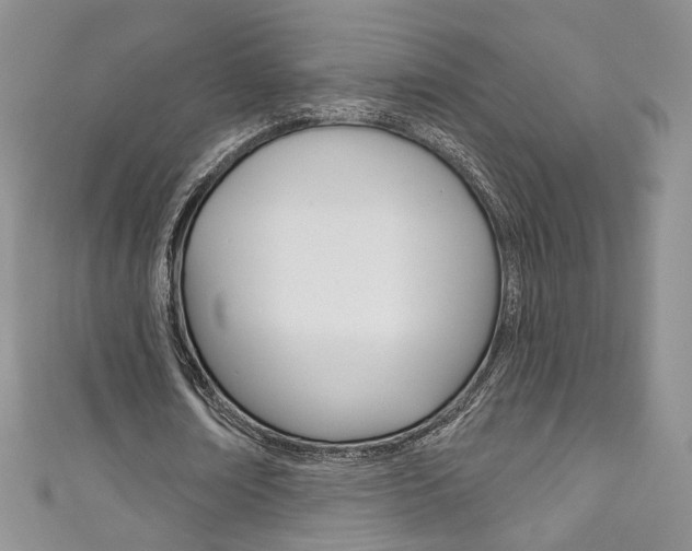 X0000111160674200906301058