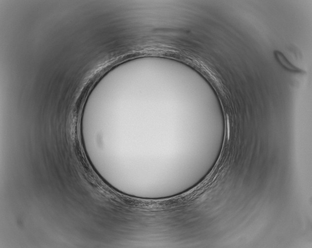 X0000111160675200906301058