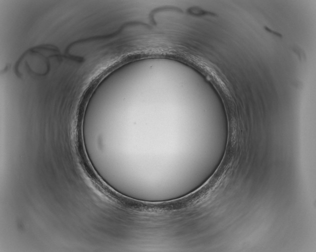 X0000111160677200906301058