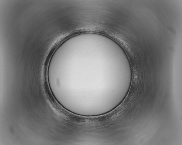 X0000111160678200906301058