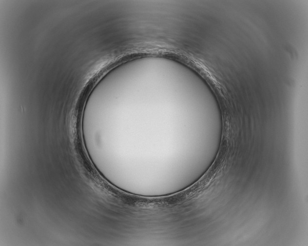 X0000111160679200906301058