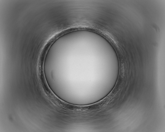 X0000111160680200906301058