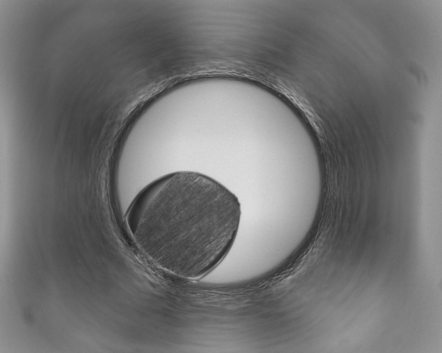 X0000111160681200906301058