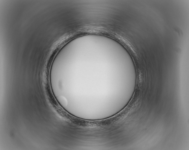 X0000111160682200906301058