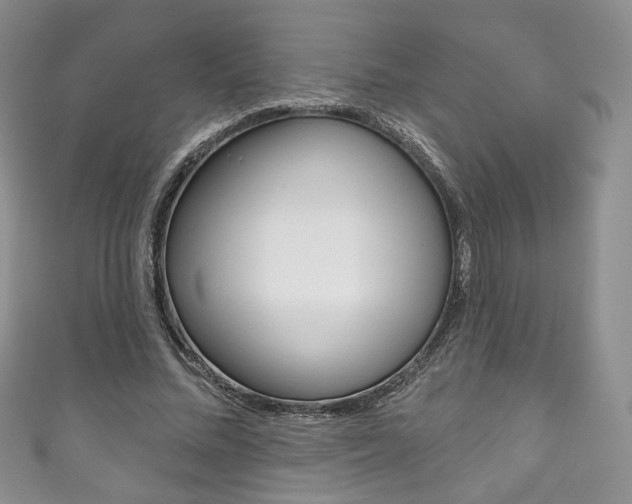 X0000111160684200906301058