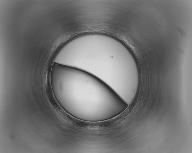 X0000111160685200906301058