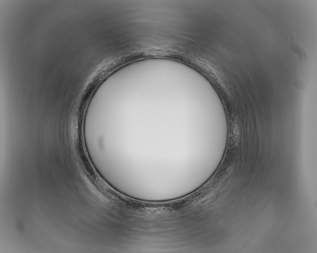 X0000111160686200906301058