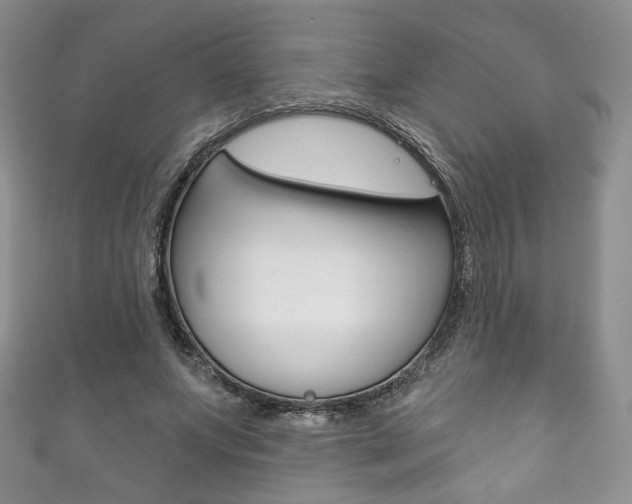 X0000111160687200906301058