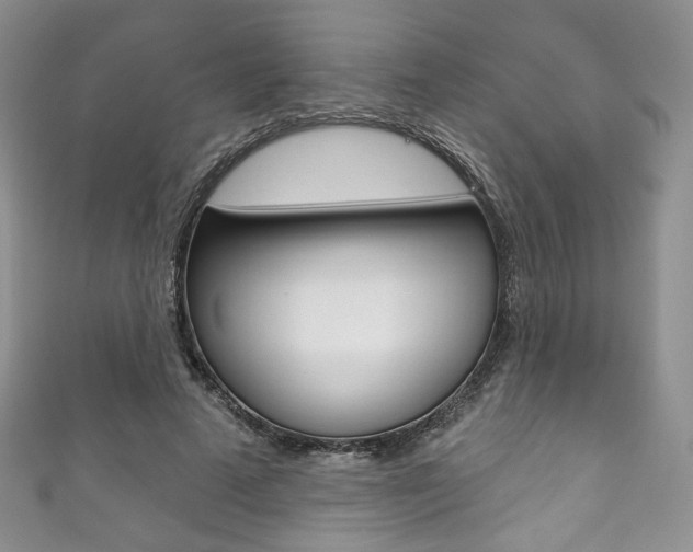 X0000111160689200906301058