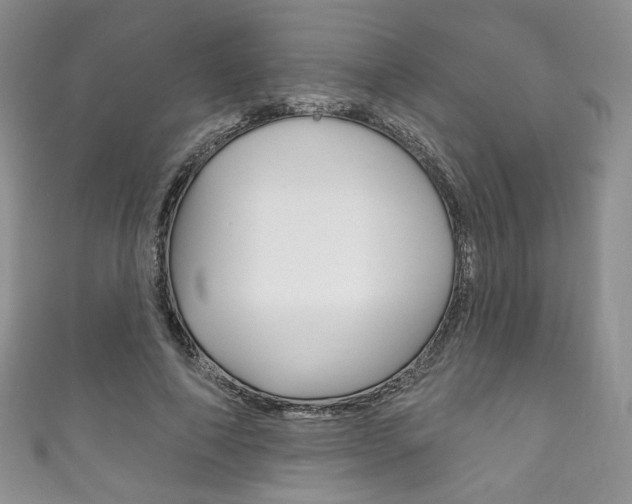 X0000111160690200906301058